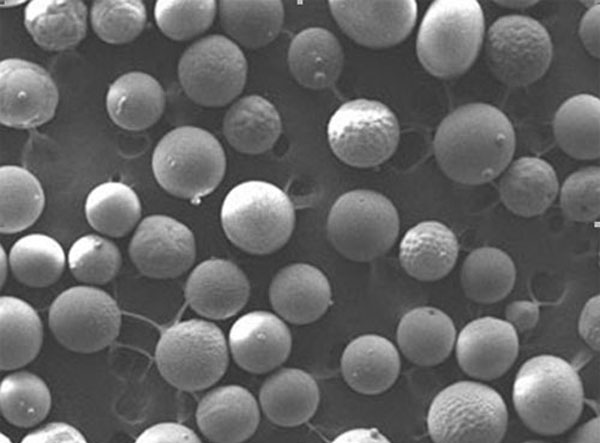 消失模专用宝珠砂