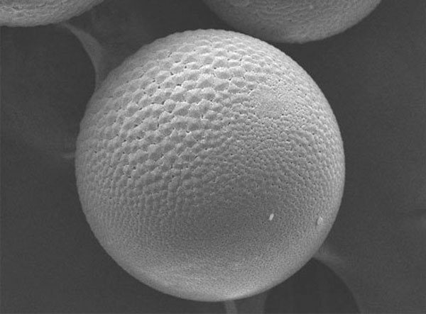 钢包引流剂宝珠砂